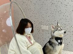 -Husky Go!哈士奇体验馆·宠物咖啡厅狗咖