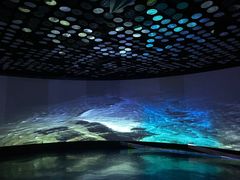 -同济大学四平路校区深海探索馆