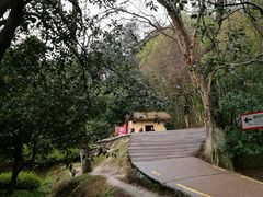 -韶山毛泽东同志故居