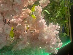 -極屋鮨牛 · 烧肉酒场(时代C馆店)