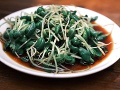 -少林寺欢喜地素斋馆