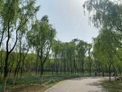 -东郊湿地公园