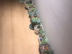 -逸栈养生SPA(望京店)