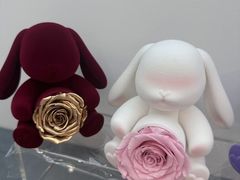 -ROSEONLY诺誓(广州K11店)