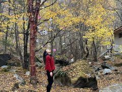 -叠溪松坪沟景区