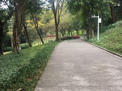 -广州雕塑公园
