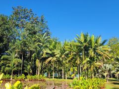 -中国科学院西双版纳热带植物园