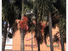 -大润发(国兴店)