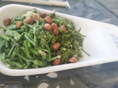 -京北渔家傲