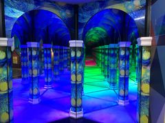 -天津梵高星空艺术馆(天河城旗舰店)