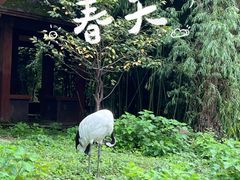 -南昌动物园