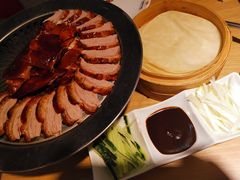 -守柴炉烤鸭(科华中路王府井店)