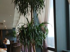 -汤臣·空中餐厅·严选粤菜(石湾世博广场店)