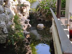 -巡塘古镇