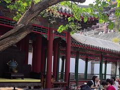 -宫事颐庭·老佛爷贵寿下午茶(颐和园店)