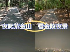 -紫金山山顶公园