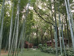 -同里国家湿地公园