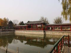 -亲兄弟真人CS团建拓展基地