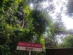 -亚龙湾热带天堂森林公园