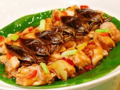 -麒麟中餐厅·经典粤菜·地道菜式老字号(广州长隆酒店)