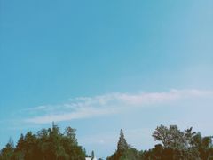 -桤木河湿地公园