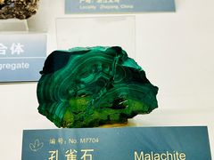 -中国地质博物馆