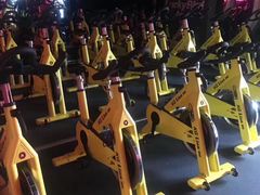 -金吉鸟健身游泳