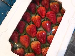 -蜜糖甜品铺(朝一村民公寓店)