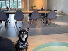 -山下C5cafe(惠通时代广场店)