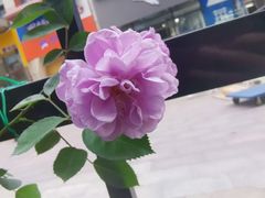 -美吉姆儿童发展中心(芜湖万达广场店)