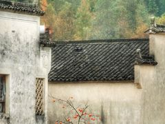 -塔川景区