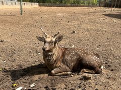 -山西乌金山旅游区