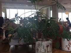 -COFFEEOLOGY咖啡学(天银店)