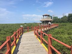 -北海金海湾红树林生态旅游区