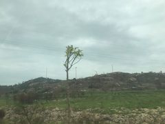-汕尾风车岛