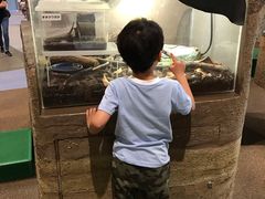 -大阪儿童乐园