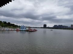 -九龙湖公园