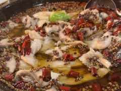 -金三可市井水煮鱼(金碧园店)