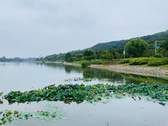 -羊山湖公园