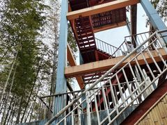 -宁波浙东大竹海景区