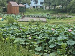 -美兰湖景区