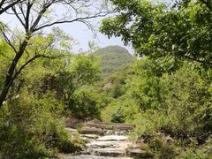 -阳台山自然风景区