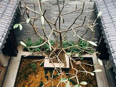 -归觅·西关小姐人文艺术馆(荔枝湾店)