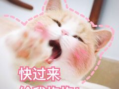 -老村旧煲(江宁金鹰店)
