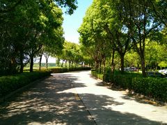 停车场-滨海高尔夫俱乐部