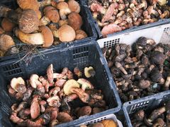 -双喜农庄·菌香园(安居家园店)