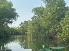 -西溪国家湿地公园