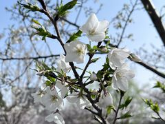 -西北湖绿化广场