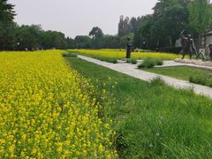 -北坞公园