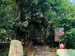-紫金山山顶公园